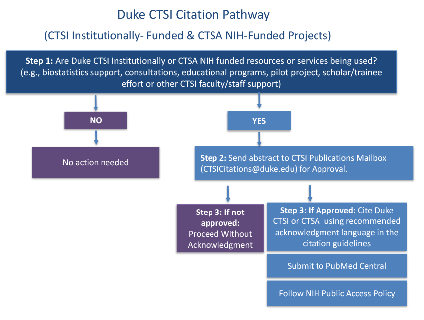 Graphic representation of the CTSI Citation pathway