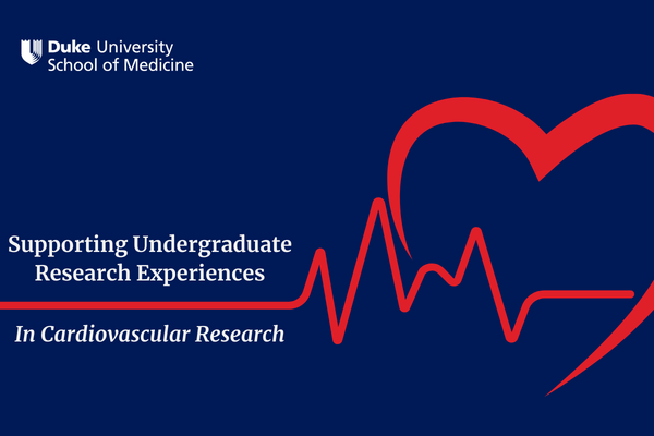 Supporting Undergraduate Research Experiences in Cardiovascular Research; graphical heart and heartbeat line