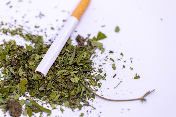 Image of tobacco cigarette lying on loose cannabis leaves.