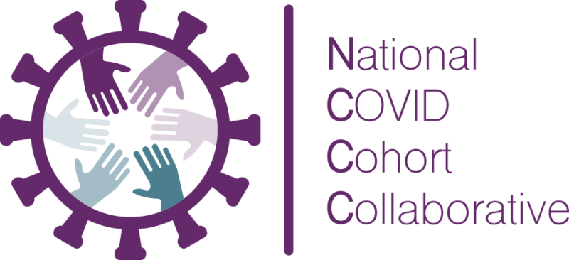 National COVID Cohort Collaborative (N3C) logo