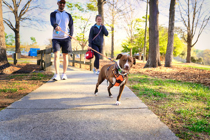 Walk with a Doc participants with their dog