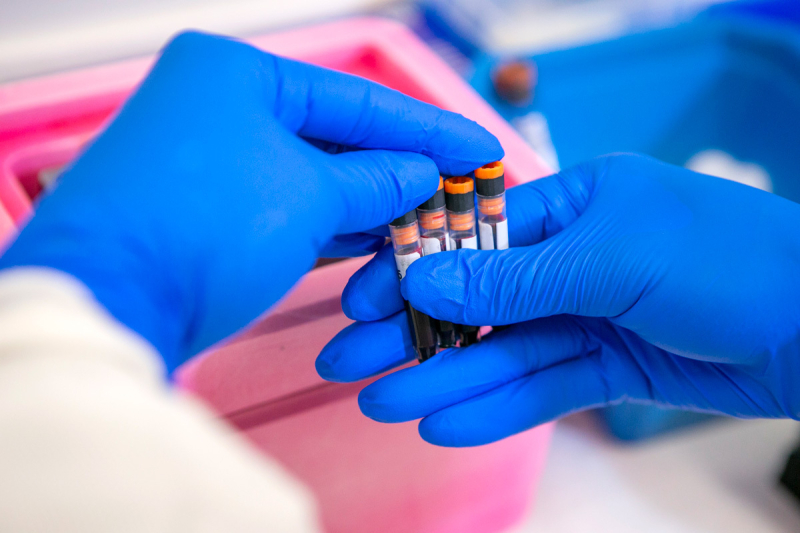 Gloved hands hold biospecimens in tubes at Duke CTSI's research site in Kannapolis. 