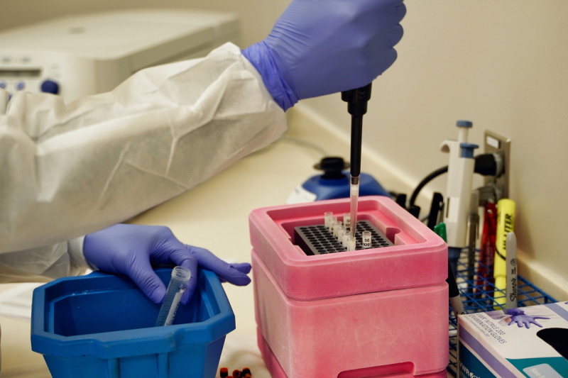 Gloved hands using lab equipment to process biological samples.